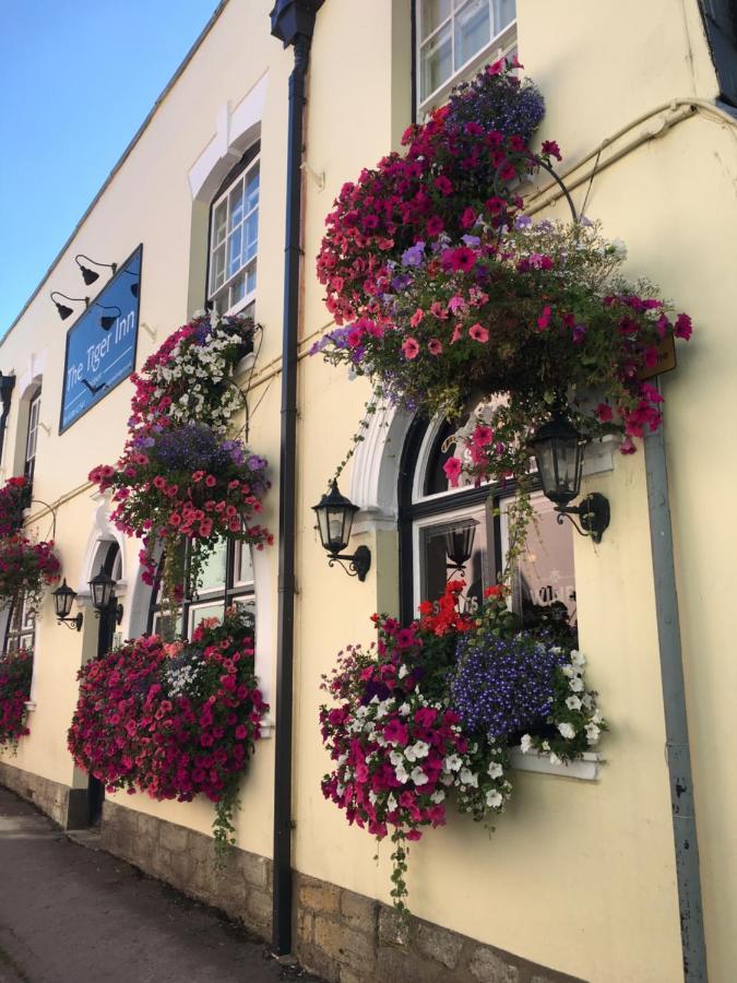 Tiger Inn Bridport Zewnętrze zdjęcie